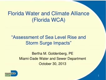 Florida Water and Climate Alliance  (Florida WCA)  Assessment of Sea Level Rise and Storm Surge