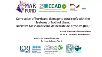 In  Inic  iciativa Mesoamericana de Rescate de Arrecifes (RRI)  I)  M. en C. Esmeralda Prez
