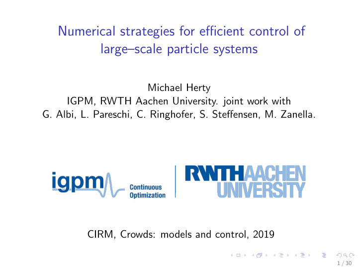 numerical strategies for efficient control of large scale
