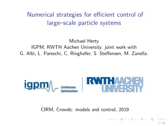 Numerical strategies for efficient control of  largescale particle systems  Michael Herty  IGPM,