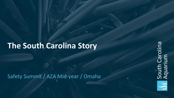 the south carolina story