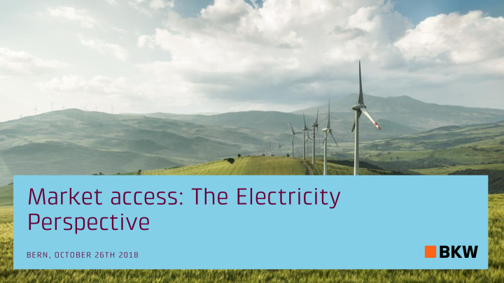 market access the electricity perspective