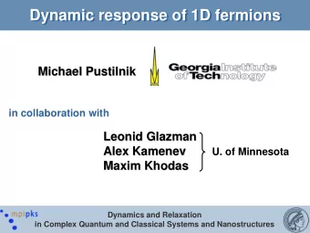 Dynamic response of 1D fermions  Dynamic response of 1D fermions  Michael Pustilnik  Michael