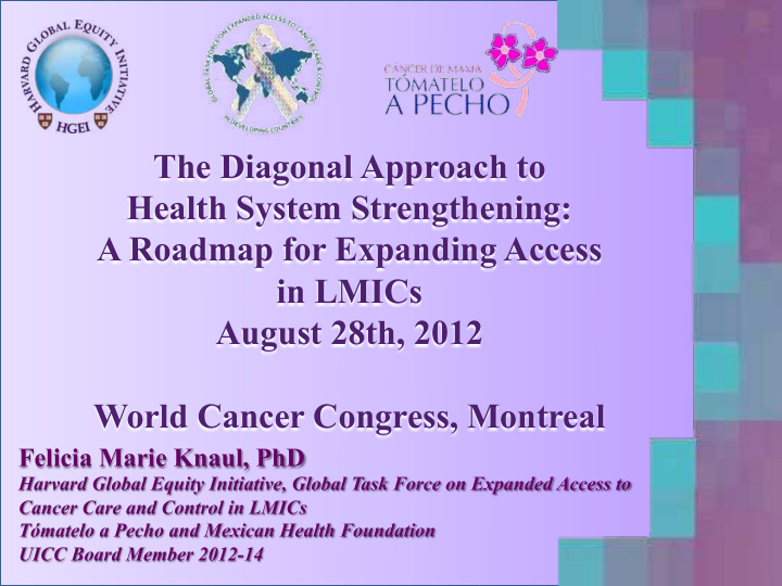 the diagonal approach to health system strengthening a