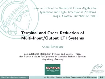 Terminal and Order Reduction of  Multi-Input/Output LTI Systems  Andr  e Schneider  Computational