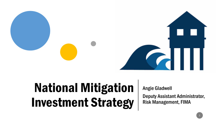 national mitigation