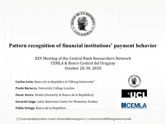 Pattern recognition of financial institutions payment behavior  XXV Meeting of the Central Bank