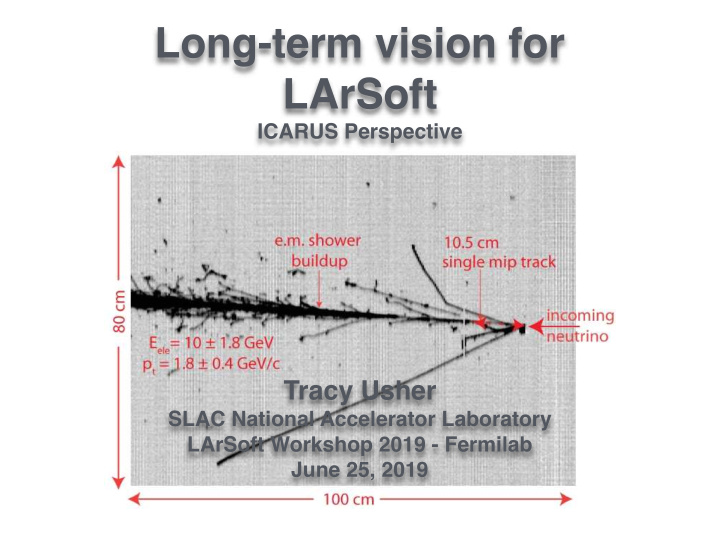 long term vision for larsoft