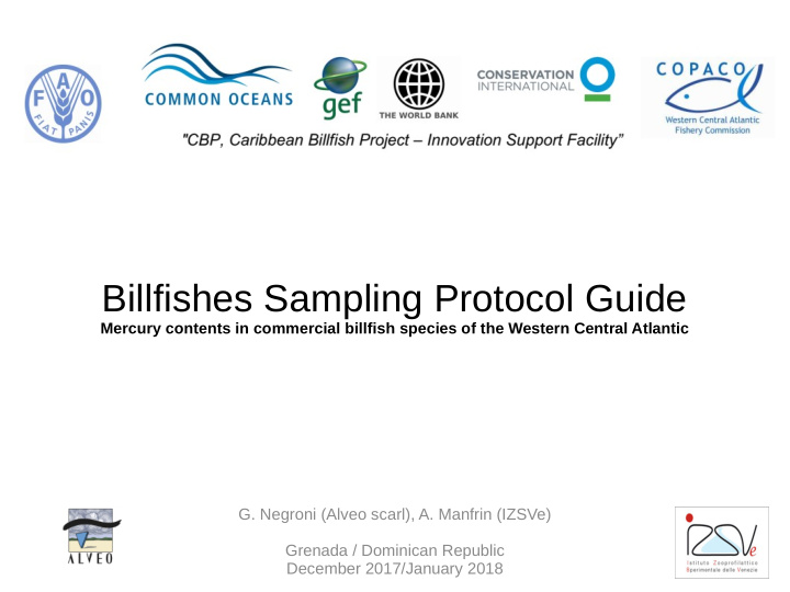billfishes sampling protocol guide