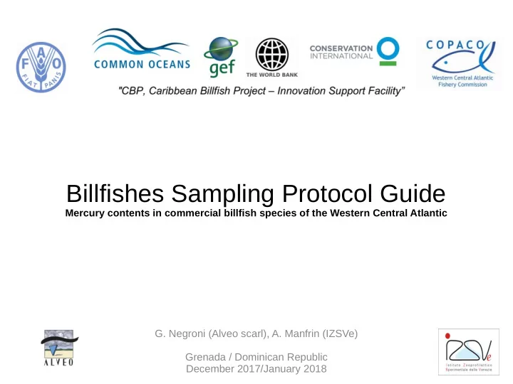 billfishes sampling protocol guide