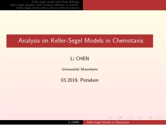 Analysis on Keller-Segel Models in Chemotaxis  Li CHEN  Universit  at Mannheim  03.2019, Potsdam