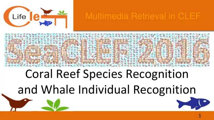 coral reef species recognition and whale individual