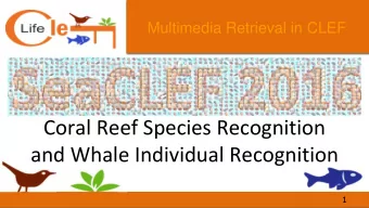 Coral Reef Species Recognition  and Whale Individual Recognition  09/09/2015  09/09/2015  1  1  1