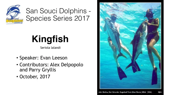 kingfish