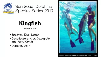 Kingfish  Seriola lalandi  Speaker: Evan Leeson  Contributors: Alex Delpopolo  and Parry