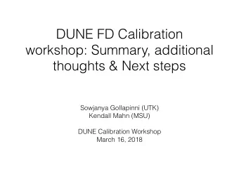 DUNE FD Calibration  workshop: Summary, additional  thoughts &amp; Next steps  Sowjanya Gollapinni