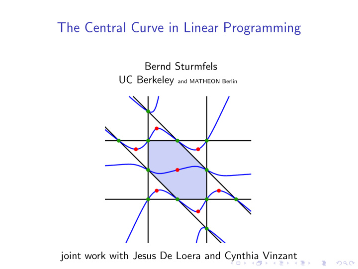 the central curve in linear programming
