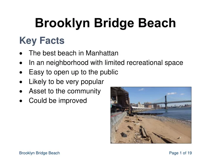 brooklyn bridge beach