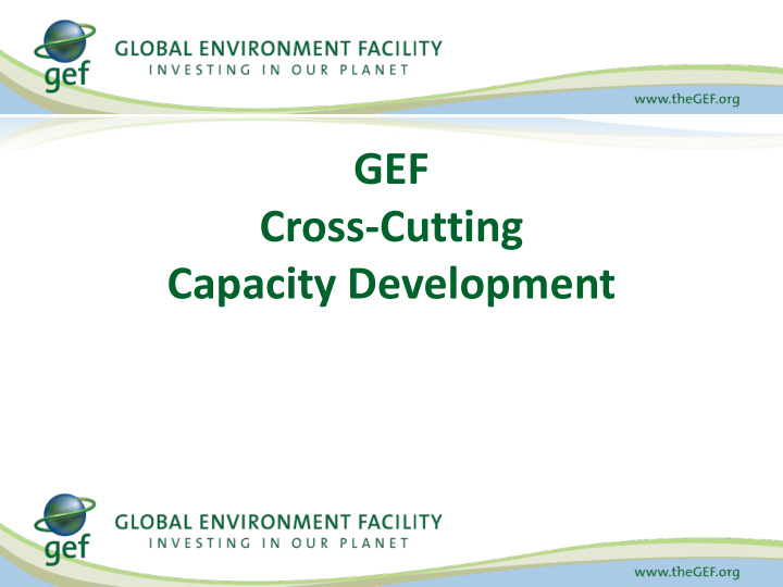 gef cross cutting capacity development capacity