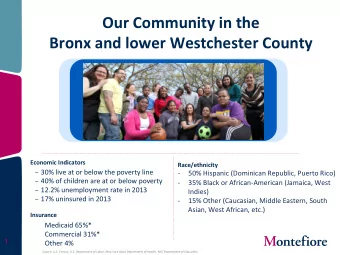 Our Community in the  Bronx and lower Westchester County  Economic Indicators  Race/ethnicity