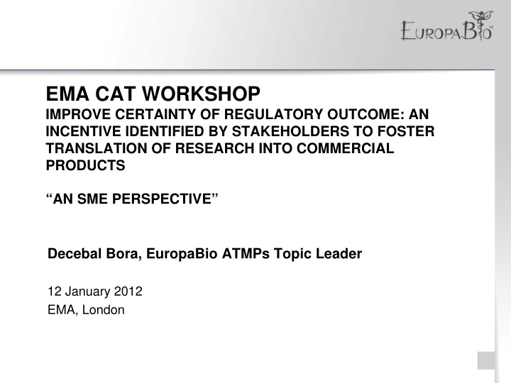 ema cat workshop