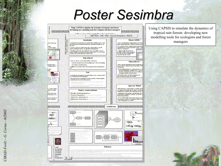 poster sesimbra sesimbra poster