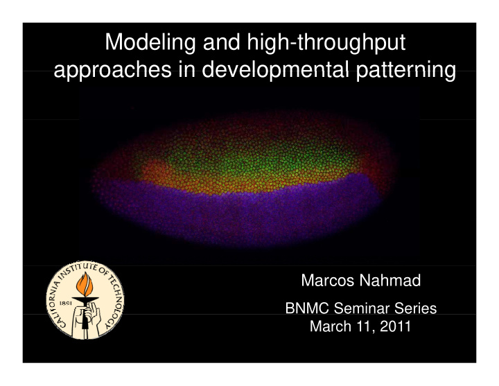 modeling and high throughput approaches in developmental