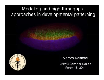 Modeling and high-throughput  approaches in developmental patterning  approaches in developmental