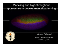modeling and high throughput approaches in developmental