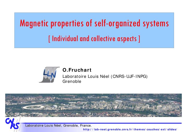 magnetic properties of self organized systems