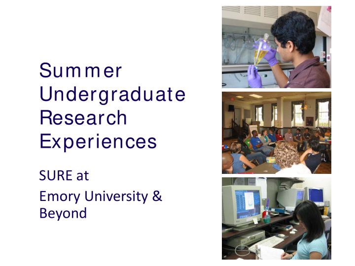 summer undergraduate research experiences
