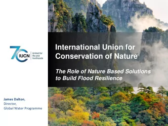 International Union for  Conservation of Nature  The Role of Nature Based Solutions  to Build Flood