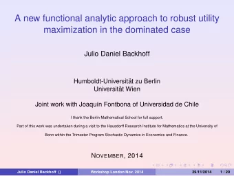 A new functional analytic approach to robust utility  maximization in the dominated case  Julio