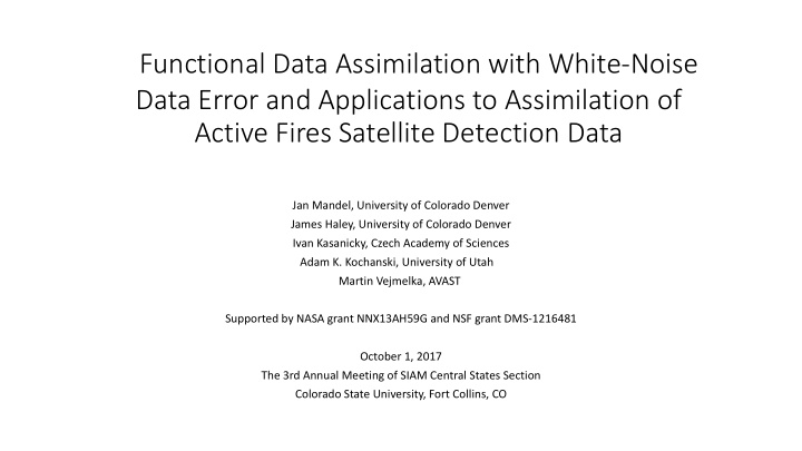 functional data assimilation with white noise data error