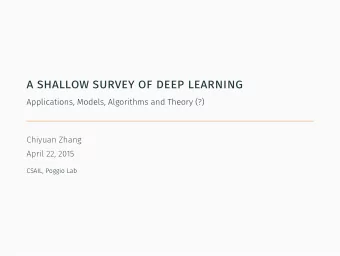 a shallow survey of deep learning  Applications, Models, Algorithms and Theory (?)  Chiyuan Zhang