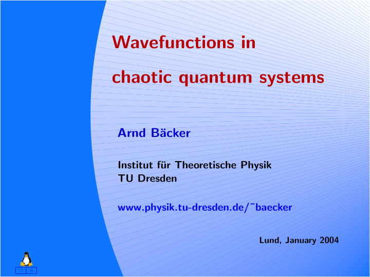 wavefunctions in chaotic quantum systems