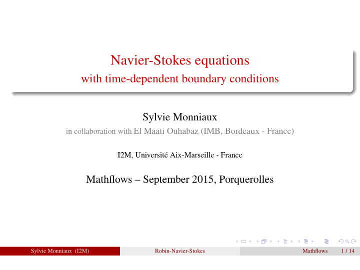 navier stokes equations