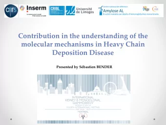 molecular mechanisms in Heavy Chain  Deposition Disease  Presented by Sbastien BENDER  Disclosure