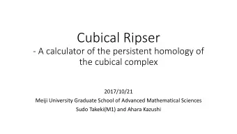 Cubical Ripser  - A calculator of the persistent homology of  the cubical complex  2017/10/21