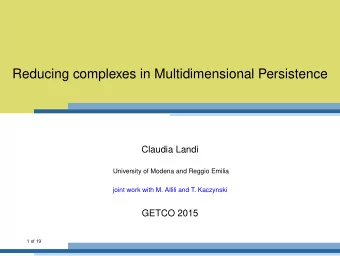 Reducing complexes in Multidimensional Persistence  Claudia Landi  University of Modena and Reggio