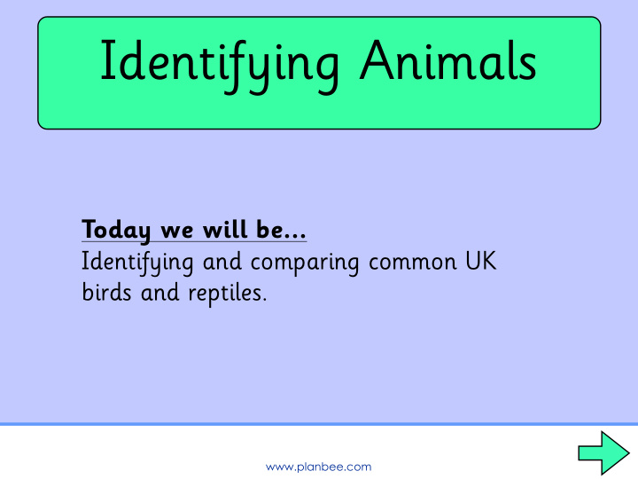 identifying animals