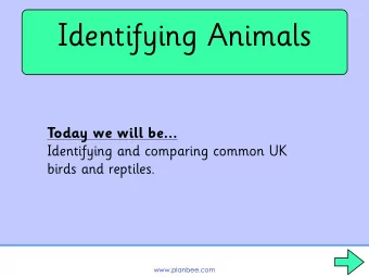 Identifying Animals  Today we will be...  Identifying and comparing common UK  birds and reptiles.