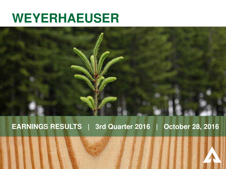 weyerhaeuser