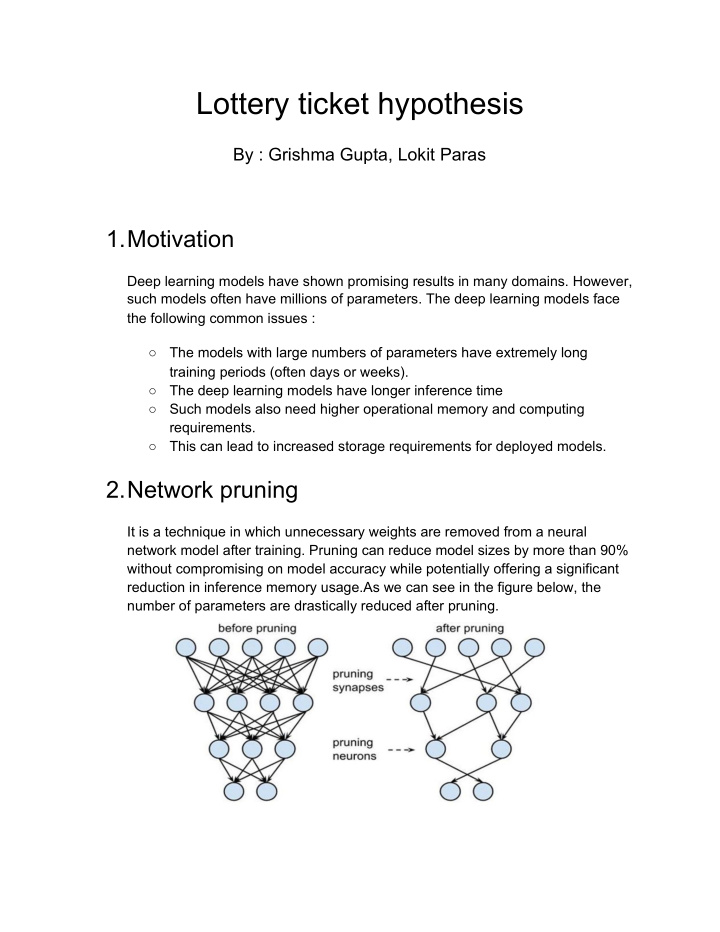 lottery ticket hypothesis