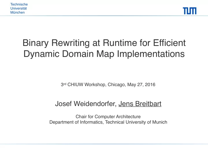 binary rewriting at runtime for efficient dynamic domain