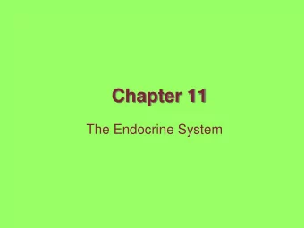 Chapter 11  The Endocrine System  What you absolutely need to  know  Distinguish between