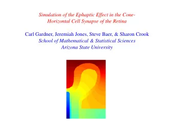 Simulation of the Ephaptic Effect in the Cone-  Horizontal Cell Synapse of the Retina  Carl