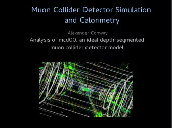 Mu  o  n  C  o  l  l  i  d  e  r  D  e  t  e  c  t  o  r  S  i  m  u  l  a  t  i  o  n  a  n  d  C