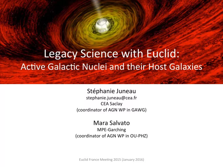 legacy science with euclid
