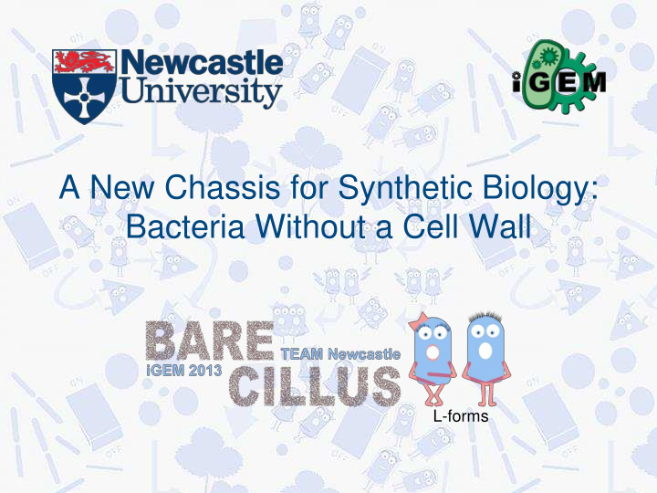 bacteria without a cell wall